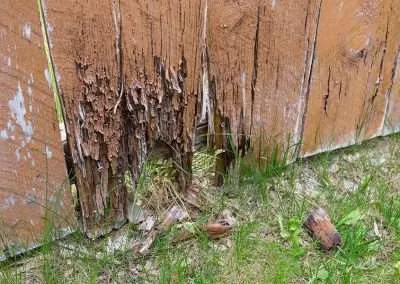 Rotten Fence Wood